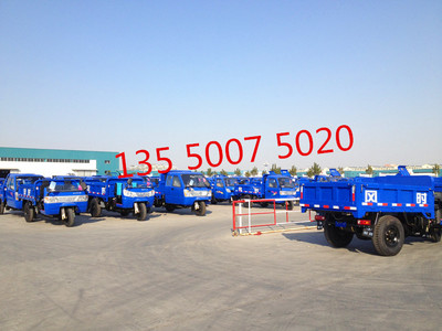 成都時風(fēng)電啟動柴油三輪車 簡易棚載重三輪車 拉混凝土工礦柴油三輪車